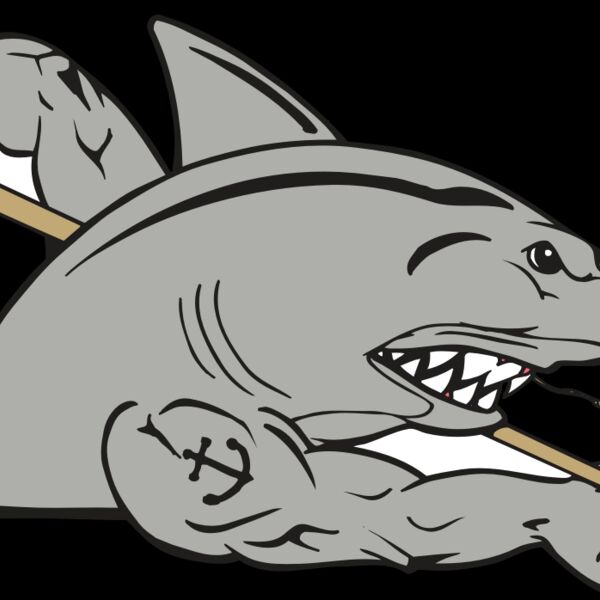 AR POOL 27 RC Thumbnail