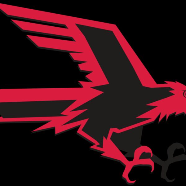 AR9 FALCON 02 RQC Thumbnail