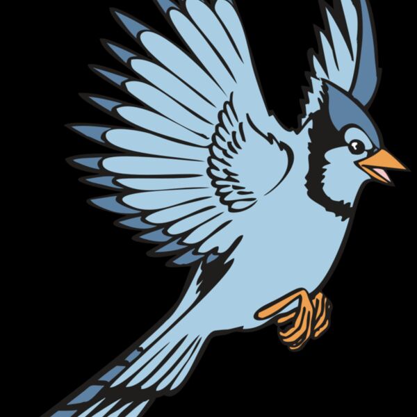 BAW BLUEJAY 12 RC Thumbnail