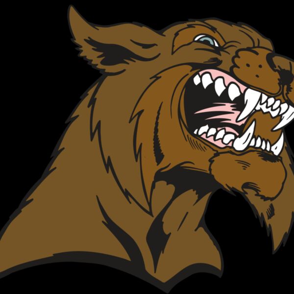 AR5 BOBCAT 21 RQC Thumbnail