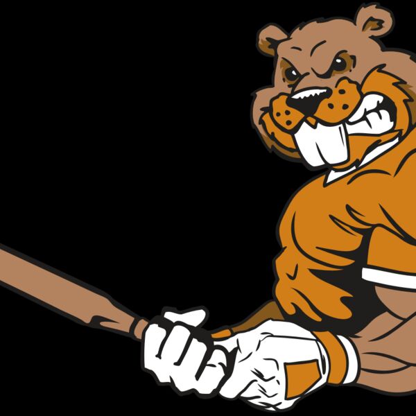 AR4 BEAVER 05 RQC Thumbnail