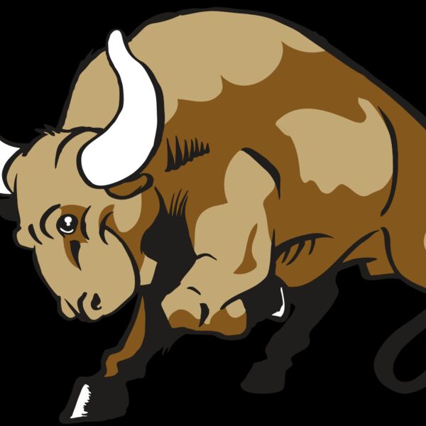 AR BULL 41 RC Thumbnail