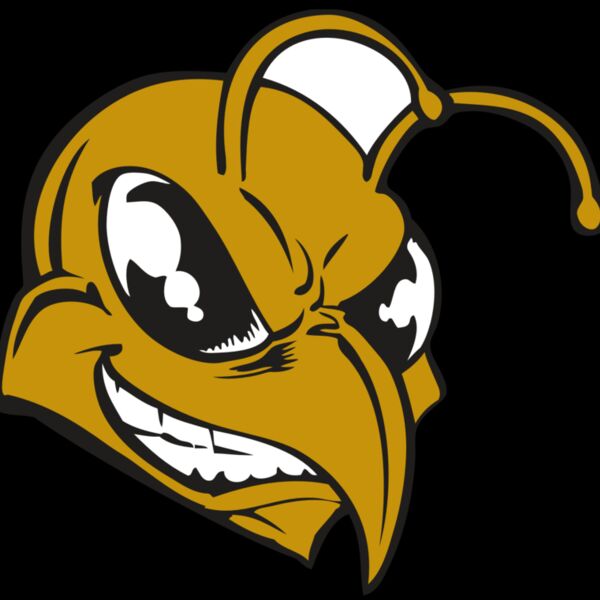 BAW BEE 18 RC Thumbnail