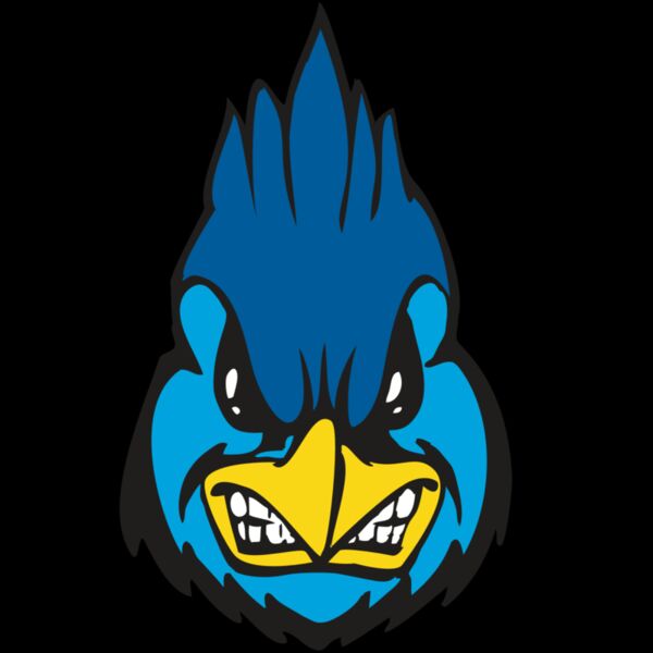 BAW BLUEJAY 02 RC Thumbnail