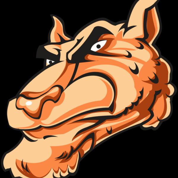 CHEETAH HD0502 RQC Thumbnail