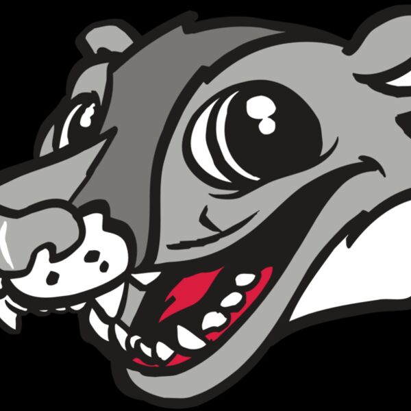 AR WOLVERINE 12 RC Thumbnail