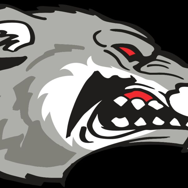 AR WOLVERINE 13 RC Thumbnail