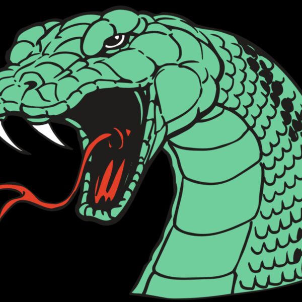 AR SNAKE 10 RC Thumbnail