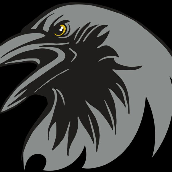 AR31 RAVEN 02 RQC Thumbnail