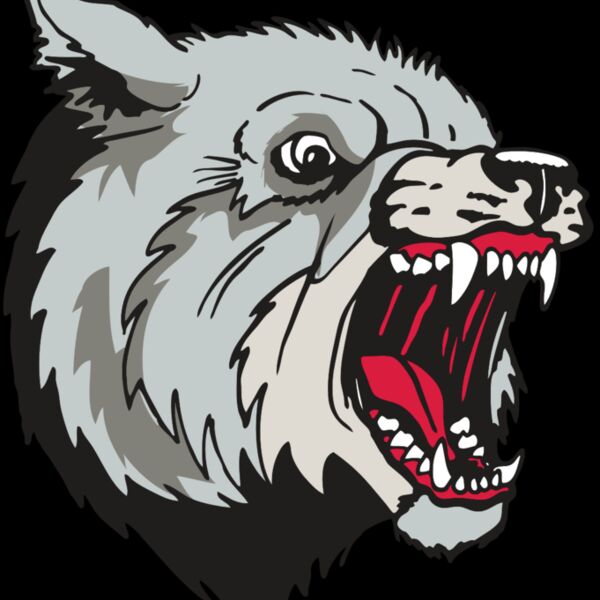 AR WOLF 38 RC Thumbnail