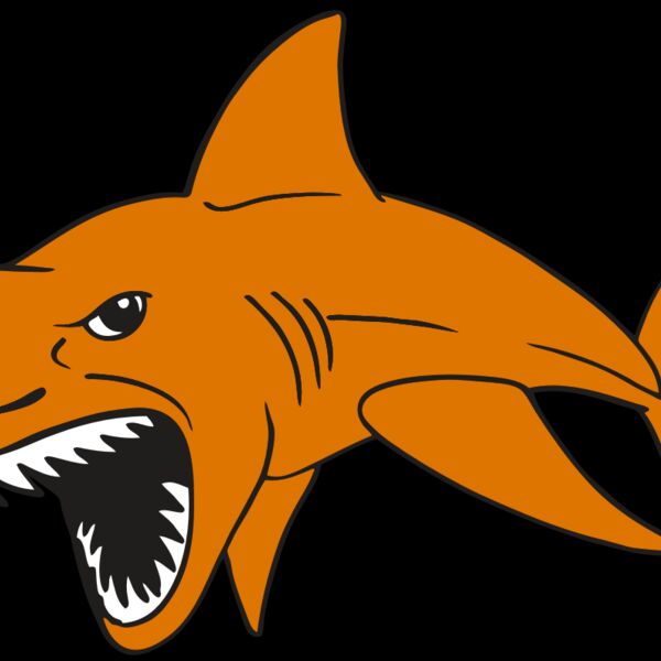 AR  SHARK 20 RC Thumbnail