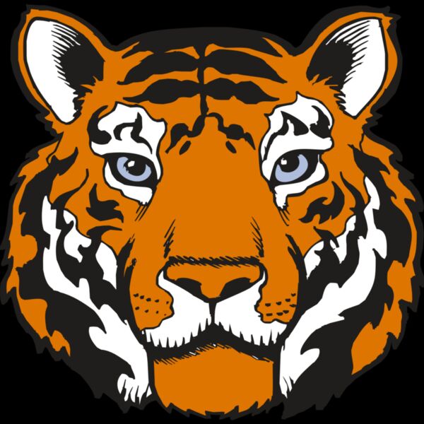 BAW TIGER 02 RC Thumbnail