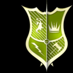 WSF Alliance Thumbnail